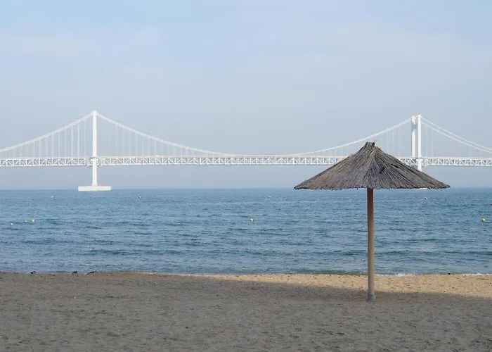 Homers Busan